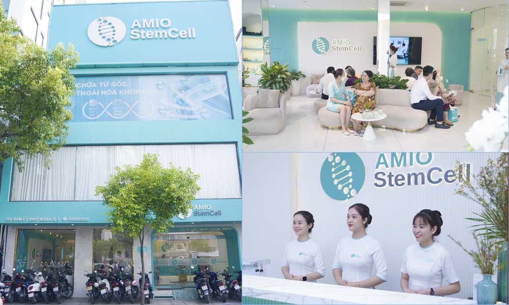 Giới thiệu về Amio Stemcell